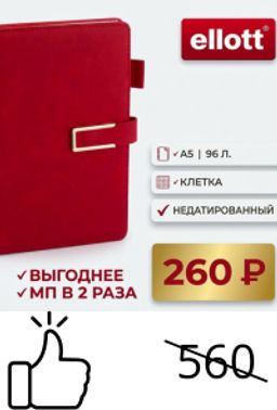 Ежедневник недатированный в клетку А5 96 л. 14,1*20,5 см красный